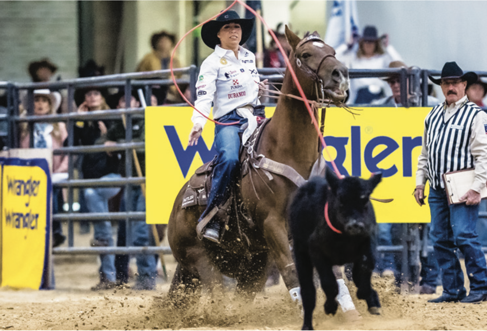 Classic Ropes — Shop | Explore & Shop Now — TriKee Tack